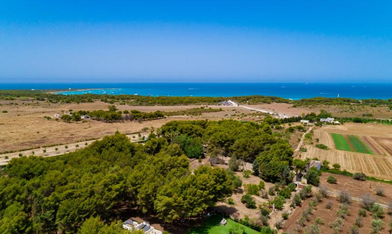 baiadigallipoli en offer-for-august-camping-salento-for-families-with-pitches 016
