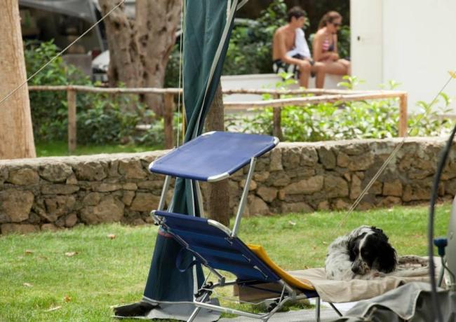 baiadigallipoli it offerta-senior-per-soggiorni-in-piazzola-in-camping-nel-salento 018