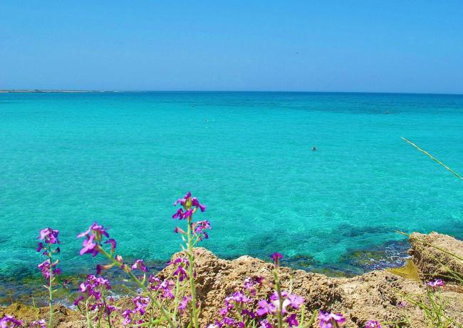 baiadigallipoli it offerta-speciale-porta-un-amico-camping-resort-baia-di-gallipoli 016