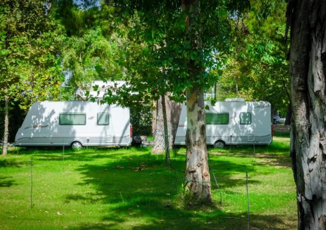 baiadigallipoli en offer-for-pitches-in-july-camping-gallipoli-with-beach-service 016