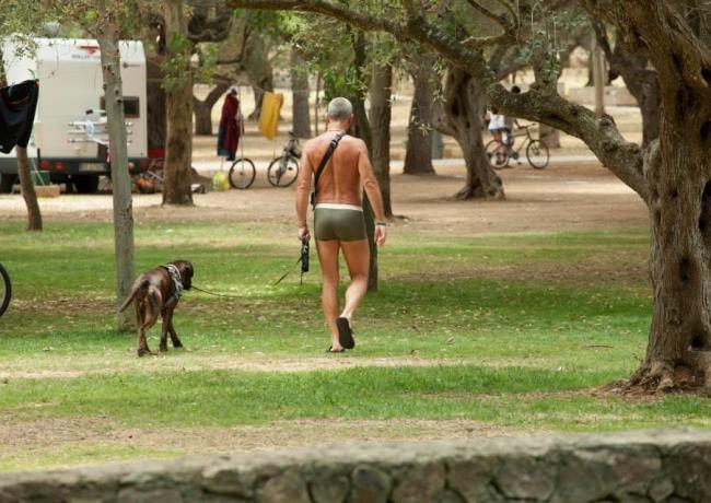 baiadigallipoli de nehmen-sie-ihren-hund-mit-in-den-urlaub-in-apulien-an-die-bucht-von-gallipoli 019