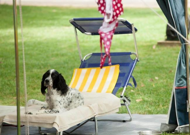 baiadigallipoli de nehmen-sie-ihren-hund-mit-in-den-urlaub-in-apulien-an-die-bucht-von-gallipoli 015