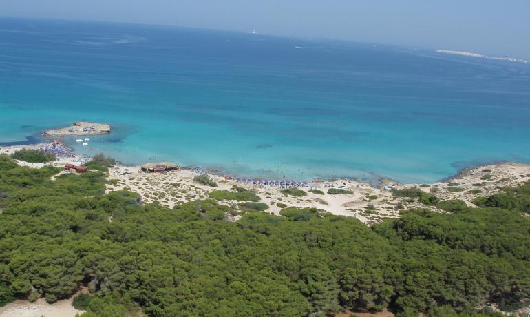 baiadigallipoli it vacanza-coperta-da-assicurazione-in-camping-nel-salento-puglia 018