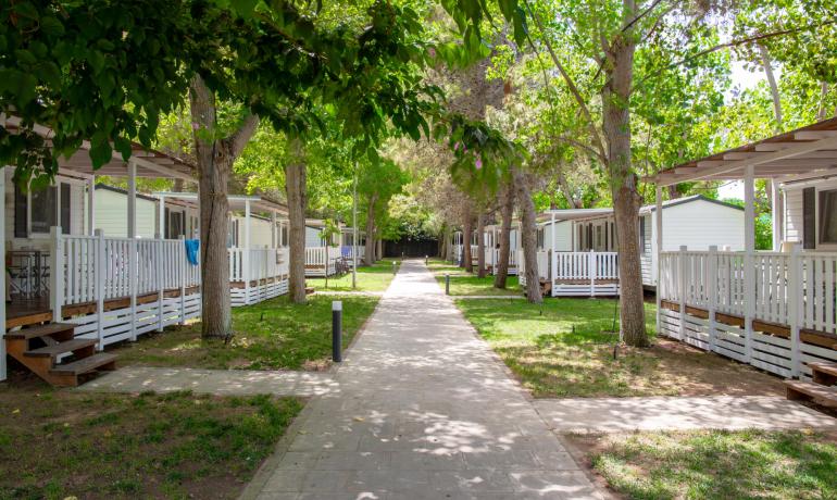 baiadigallipoli it sconto-prenota-prima-in-camping-nel-salento-puglia 013