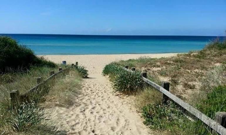 Sentiero sabbioso verso una spiaggia tranquilla e mare azzurro.