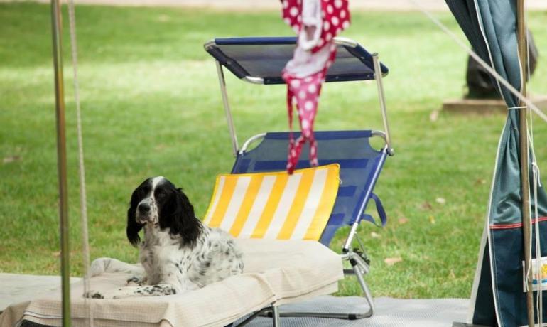 baiadigallipoli de nehmen-sie-ihren-hund-mit-in-den-urlaub-in-apulien-an-die-bucht-von-gallipoli 015
