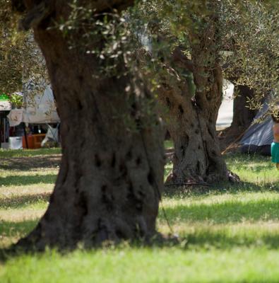 Bambino vicino a una tenda da campeggio tra gli alberi.